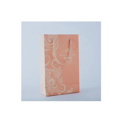 qualità  Beautiful and environmental friendly small delicate gift printing paper bags for food fabbrica